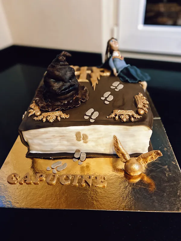 Harry Potter Book