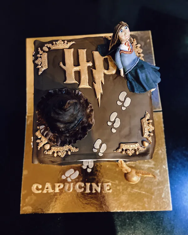 Harry Potter Book