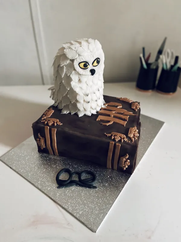 Harry Potter Cake (Book and Owl)