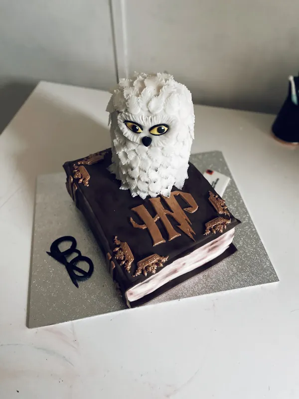 Harry Potter Cake (Book and Owl)