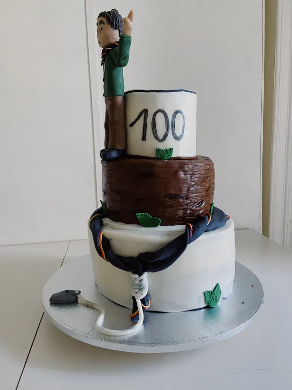 Scouts 100 year Lones group
