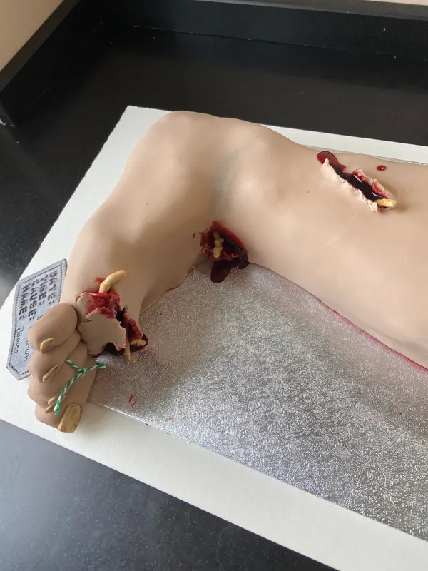 Forensic Doctors