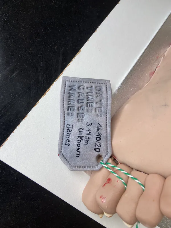 Forensic Doctors
