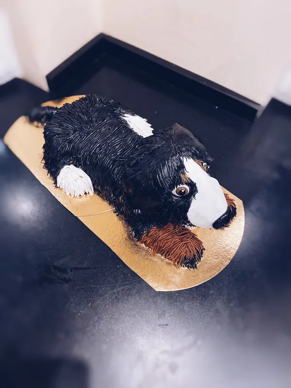 Dog "Floyd"