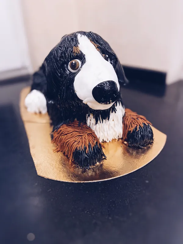Dog "Floyd"