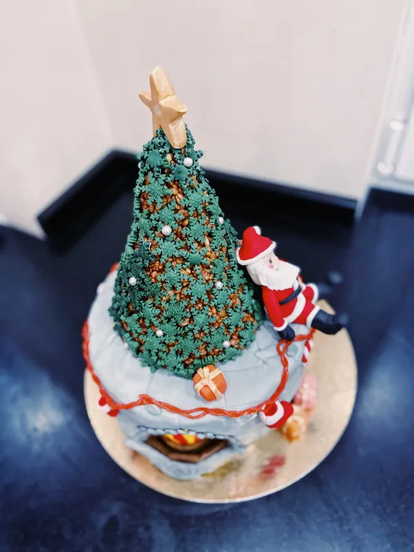 Christmas tree and fireplace