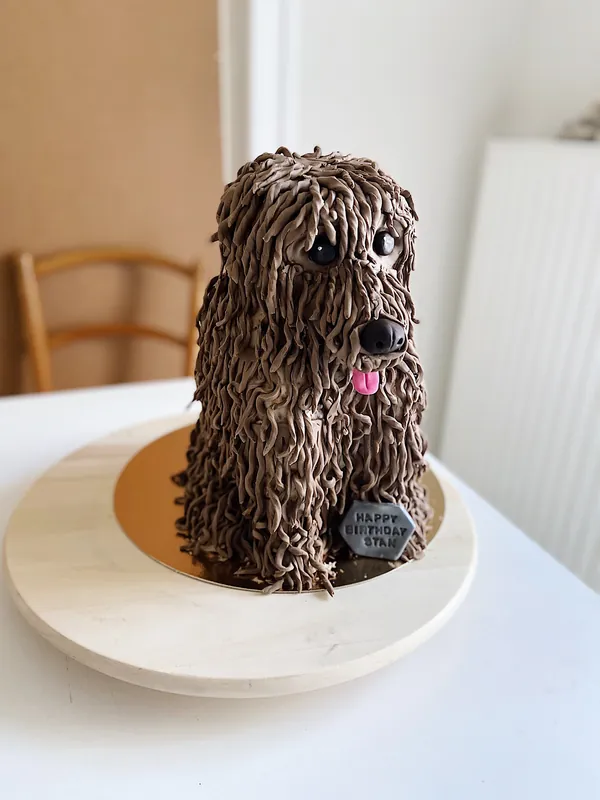 Dog "Marcel"