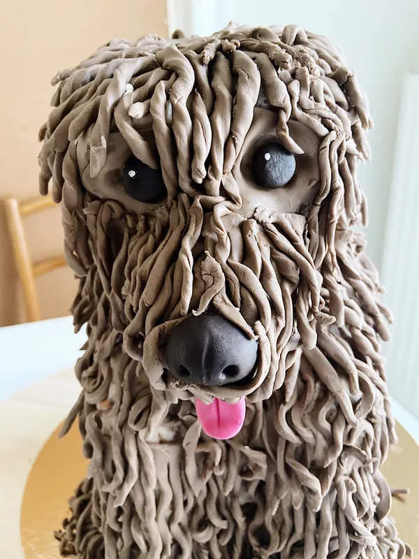 Dog "Marcel"