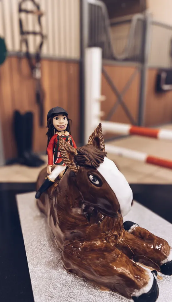 Horse cake with horserider